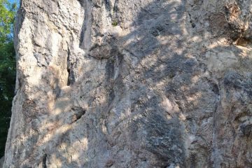 20250606_080835