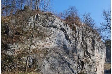 radlje-1
